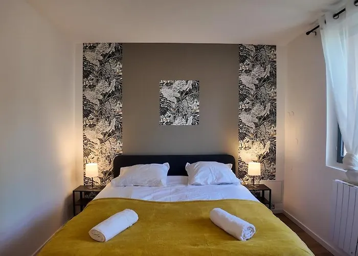 Elégant T3 - 2 - Netflix - Terrasse Appartement Castres (Tarn)